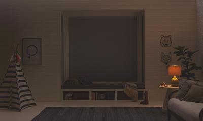 room darkening shades with lightlock