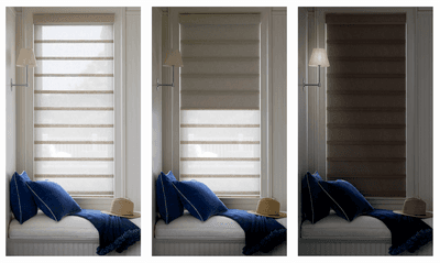 Hunter Douglas Duolite Shades