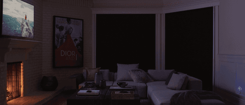 Room-Darkening Window Treatments  Photo
